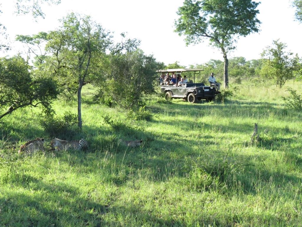 Honeyguide Tented Safari Camp - Khoka Moya Заповедник Маньелети Экстерьер фото