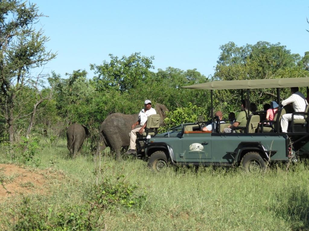 Honeyguide Tented Safari Camp - Khoka Moya Заповедник Маньелети Экстерьер фото