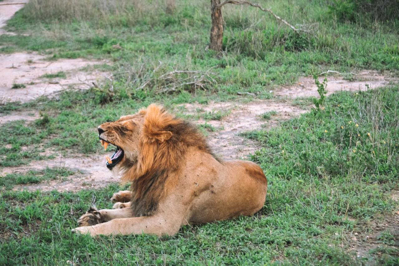 Honeyguide Tented Safari Camp - Khoka Moya Заповедник Маньелети Экстерьер фото